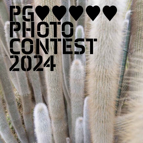 Esecutivi Photocontest 2024 ESEC-10