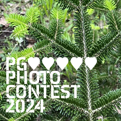 Esecutivi Photocontest 2024 ESEC-11