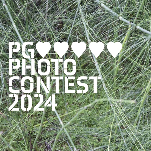 Esecutivi Photocontest 2024 ESEC-5